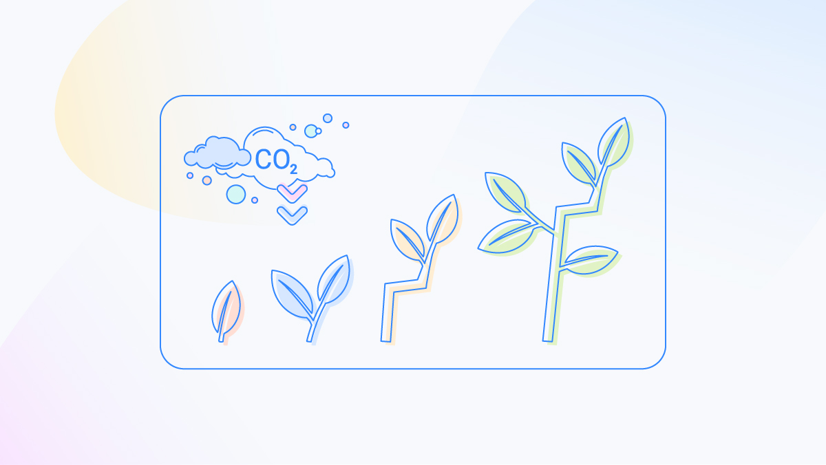 How do smaller creatives help lessen the CO2 footprint?