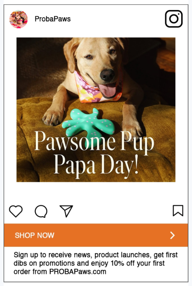 ProbaPaws / Social Lookalike